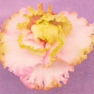 LE Green Roses
