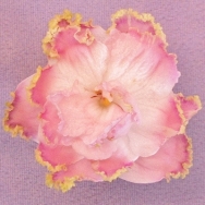 RS Golden Fleece 