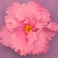 Betty Jean 