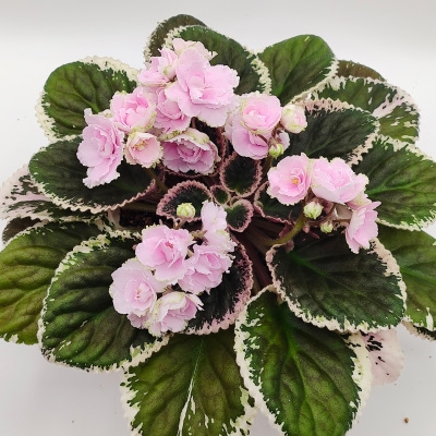 Hunter's Mothers Love