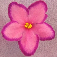 Kev's Heavenly Star