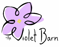 African violet Jolly Orchid - The Violet Barn - African Violets and More